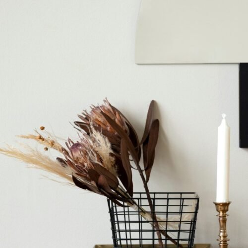 Revitalize Your Living Spaces: A Guide to Trends