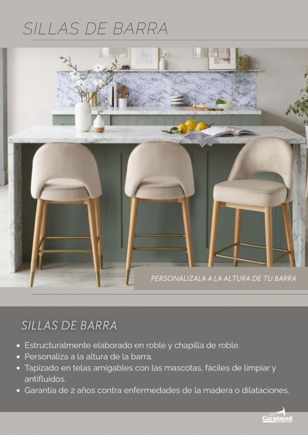 Silla de Barra